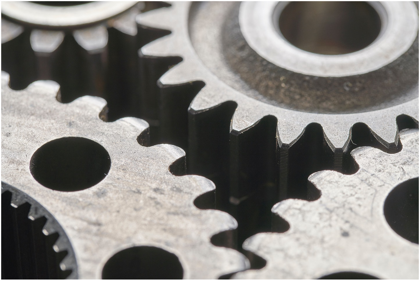 cog%20cropped